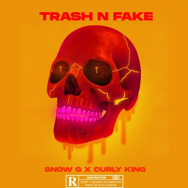 Trash N Fake