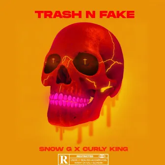 Trash N Fake by Snoow G