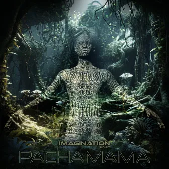 Pachamama (LIve record) by Imagination Project