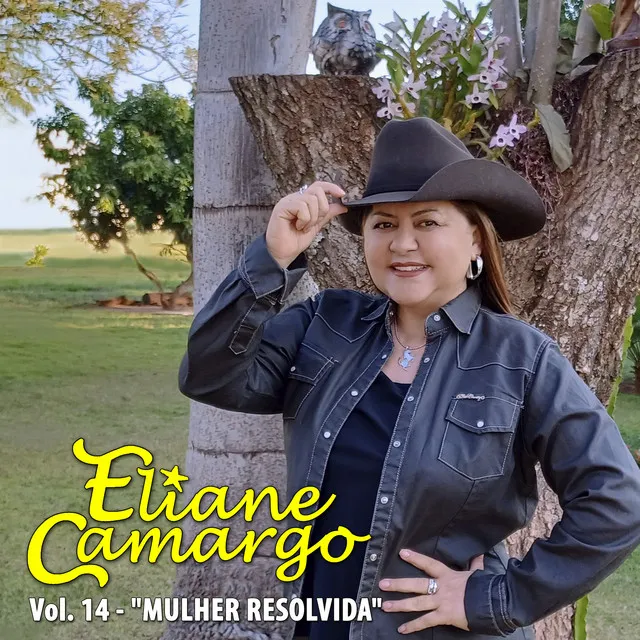 Eliane Camargo, Vol. 14 - Mulher Resolvida