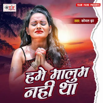 Hame Mallum Nahi Tha by Komal Jha