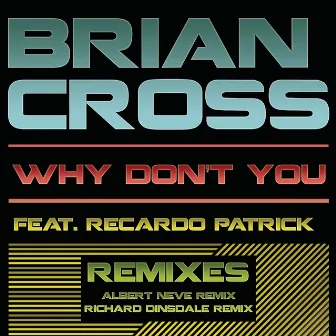 Why Don't You (Remixes) by Brian Cross