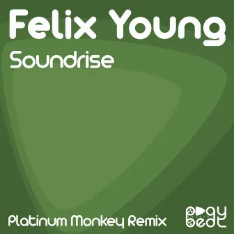 Soundrise (Platinum Monkey Remix) by Felix Young