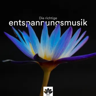 Entspannungsmusik - Die richtige Entspannungsmusik für Meditation & Achtsamkeitsübungen by This Fall