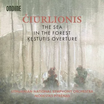 Čiurlionis: The Sea, In the Forest & Kęstutis by Lithuanian National Symphony Orchestra