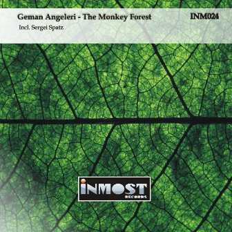 The Monkey Forest by German Angeleri