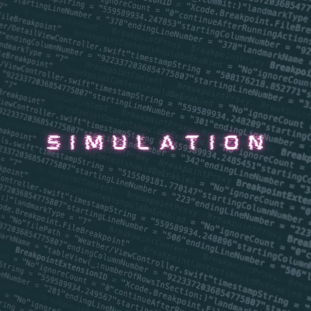 Simulation