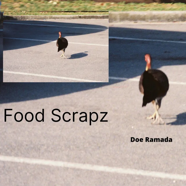 FOOD SCRAPZ