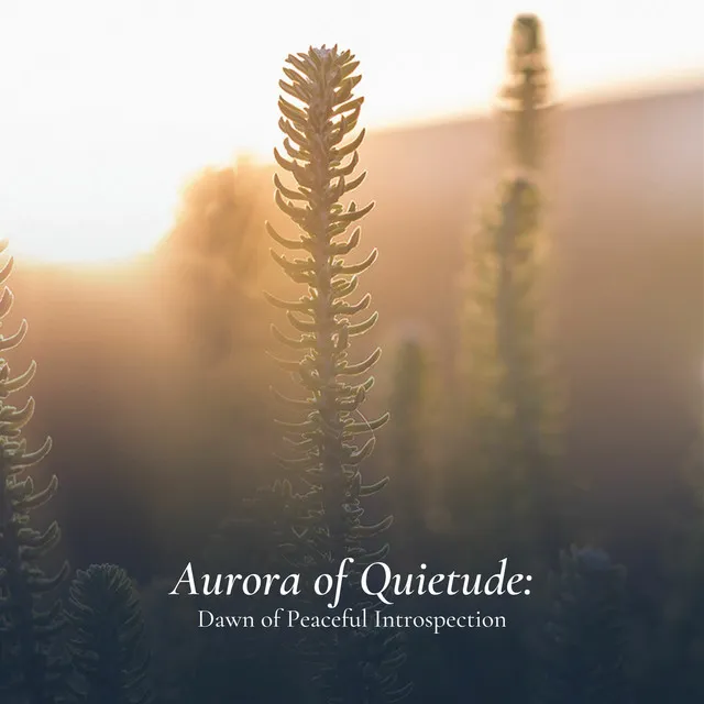 Aurora of Quietude: Dawn of Peaceful Introspection