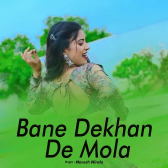 Bane Dekhan De Mola by Naresh Nirala