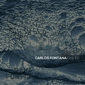 Fine EP by Carlos Fontana