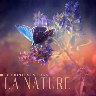 Le printemps dans la nature: Forêts fleuries, Ruisseaux vivants, Chants d'oiseaux, Pluie rafraîchissante by Zone de la Nature Pure