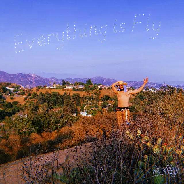 Everything is Fly