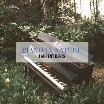 Piano in Nature by Laurent Denis