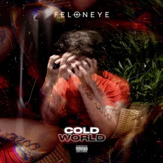 Cold World by Feloneye