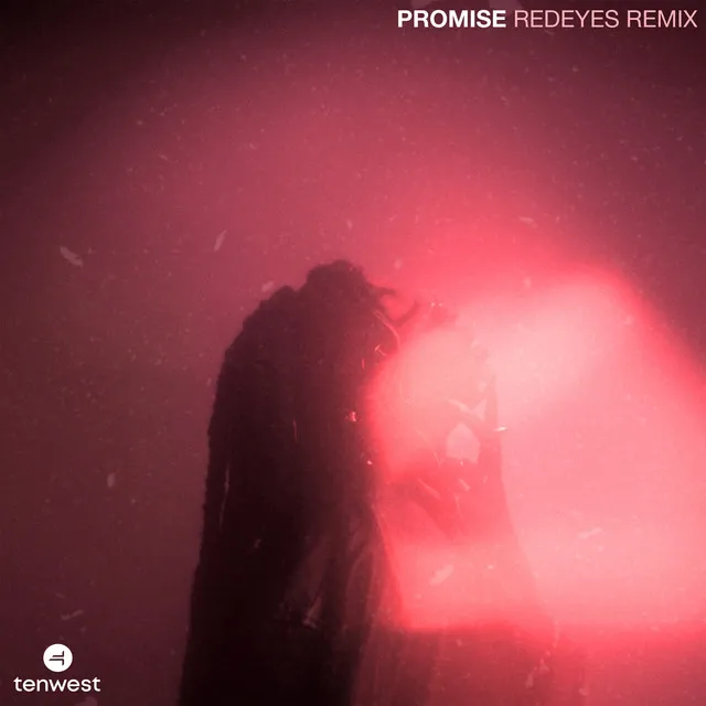 PROMISE - Redeyes Remix