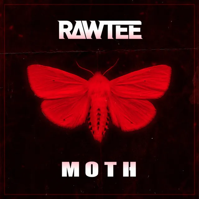 Moth