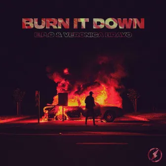 Burn It Down by E.P.O