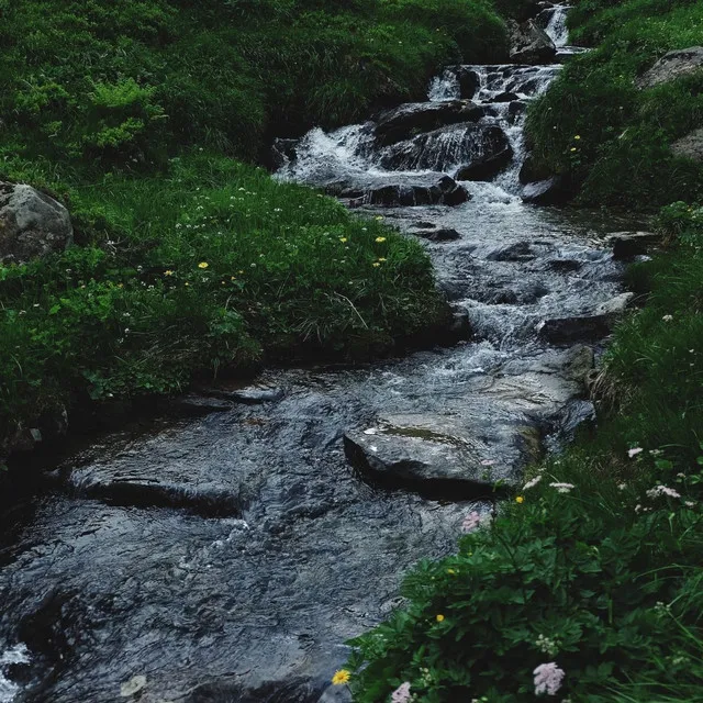 Soothing Creek Reflections