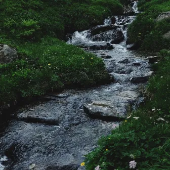 Nature's Nook: Soothing Creek and Bird Tunes for Mindful Relaxation by Nature Sounds of the Earth