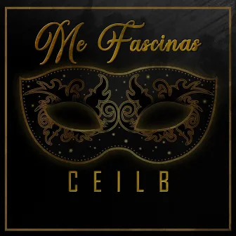 Me Fascinas by Ceilb