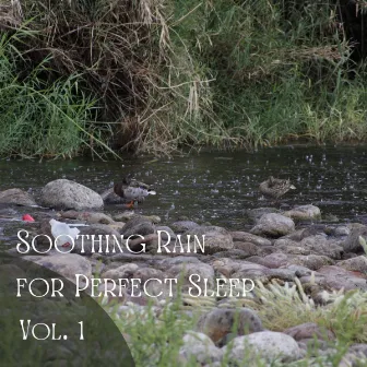 Soothing Rain for Perfect Sleep Vol. 1 by Binaural Moods