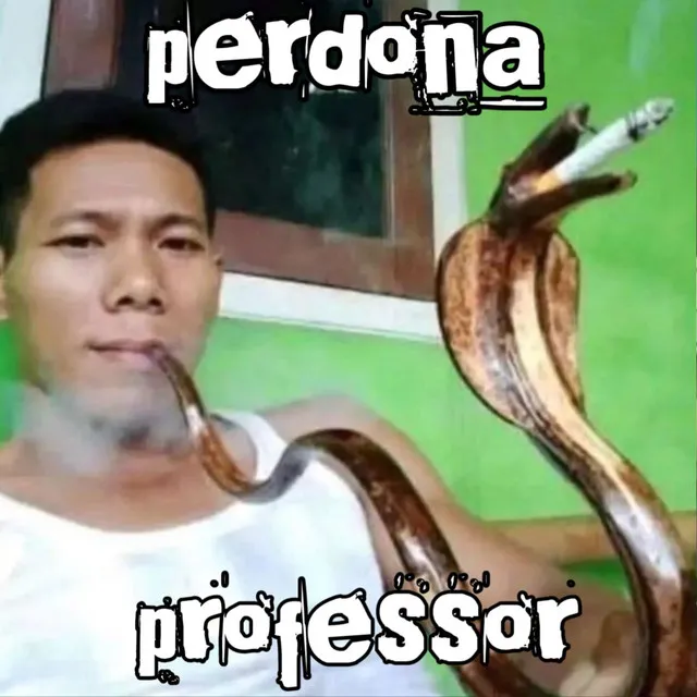 Perdona Professor