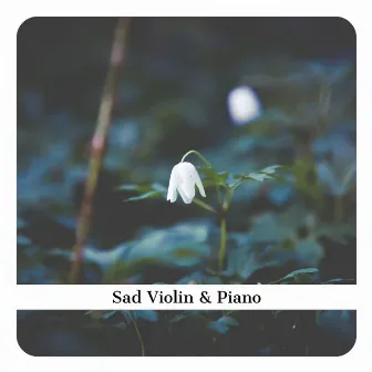 Sad Violin & Piano by Violin and Piano Relax