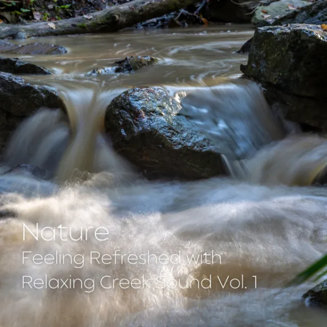 Nature: Feeling Refreshed with Relaxing Creek Sound Vol. 1