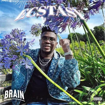 Ecstasy by Brain