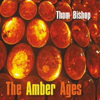 The Amber Ages by Thom Bishop