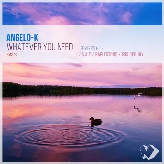 Whatever You Need: Remixes, Pt. 3 by Angelo-K