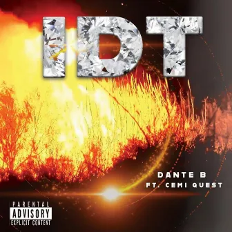 IDT (I Don't Think) by Dante B