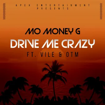 Drive Me Crazy by Mo Money G