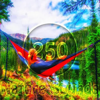 250 Epic Nature Sounds, for Relaxation, Meditation, Deep Sleep, Natural White Noise, Ocean Waves, Waterfall ,Birds, Water, Rain, Thunder Storm by Unknown Artist