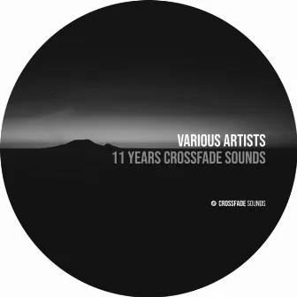 11 Years Crossfade Sounds by Subnode