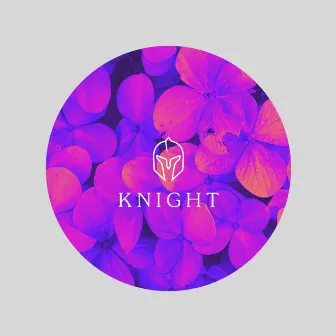 Stay by Knight