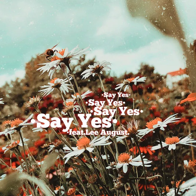 Say Yes