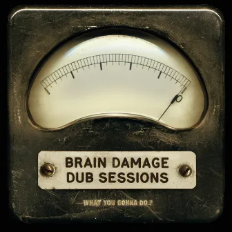 What You Gonna Do? (Dub Sessions) by Brain Damage