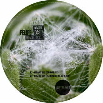 Organic Rain EP by Felipe Noboa