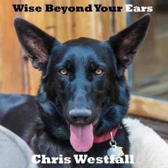 Wise Beyond Your Ears by Chris Westfall