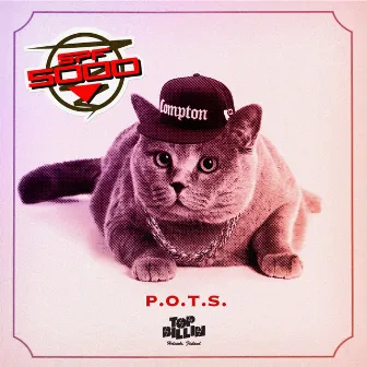 P.O.T.S. by 