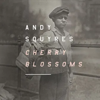 Cherry Blossoms by Andy Squyres