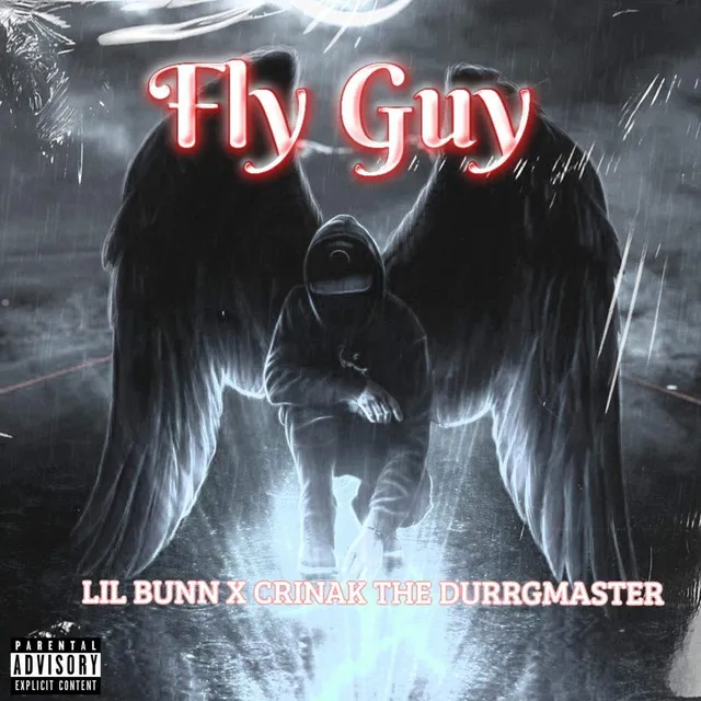 Fly Guy