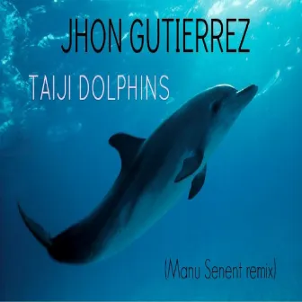 Taiji Dolphins (Manu Senent Remix) by Jhon Gutierrez