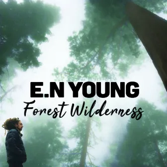 Forest Wilderness by E.N Young