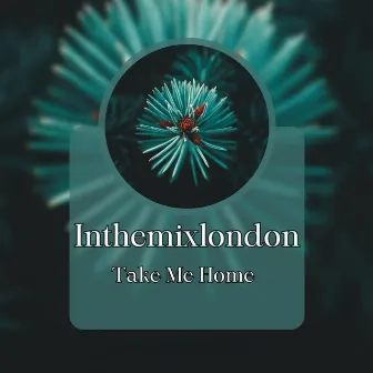 Take Me Home by Inthemixlondon