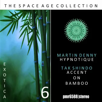 The Space Age Collection; Exotica, Volume 6 by Martin Denny