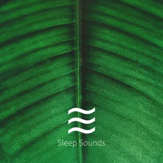 Sober Soft Noises for Sleeping by 