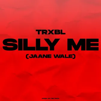 Silly Me (Jaane Wale) by Trxbl